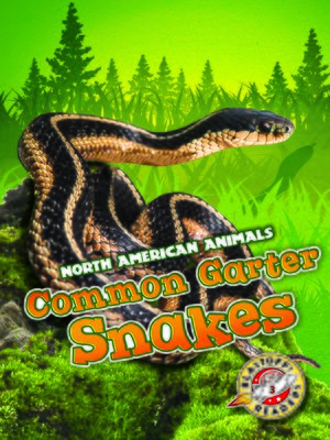 cover image of Common Garter Snakes